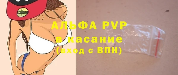 твердый Вяземский